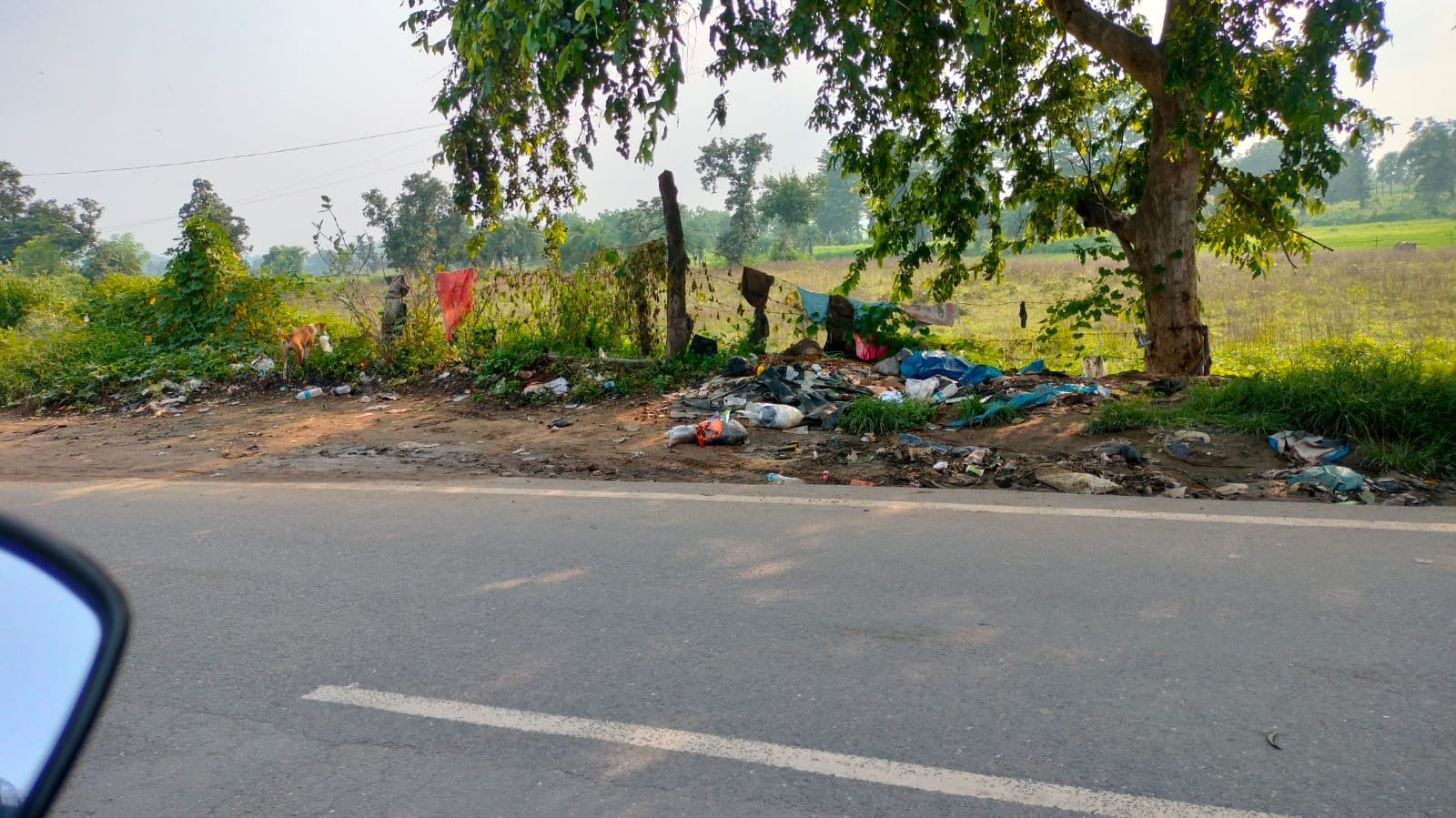 सतबरवा:घनी आबादी के बीच गन्दगी का अंबार:बीमारी को दे रहे हैं बुलावा। सतबरवा:घनी आबादी के बीच गन्दगी का अंबार:बीमारी को दे रहे हैं बुलावा।