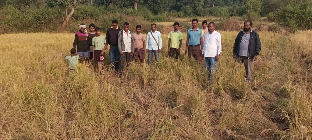 प्रखंड क्षेत्र में जंगली हाथियों के लगातार बढ़ रहे उत्पात से गांव से लेकर शहर तक लोग त्रस्त: चैतु उरॉव