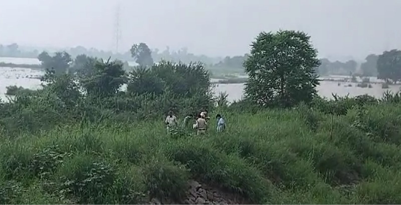 सर कटी महिला की शव मिलने से एरिया में मची हड़कंप, जांच में जुटी पुलिस सर कटी महिला की शव मिलने से एरिया में मची हड़कंप, जांच में जुटी पुलिस