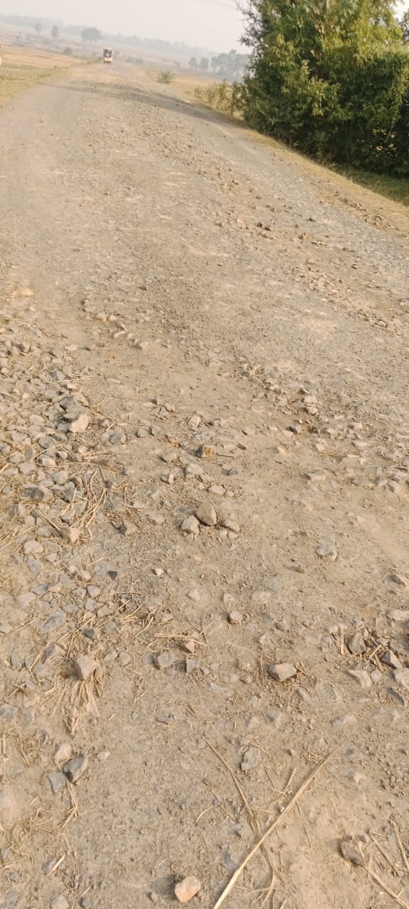 जर्ज़र सड़क से आवाजाही हो रही बाधित