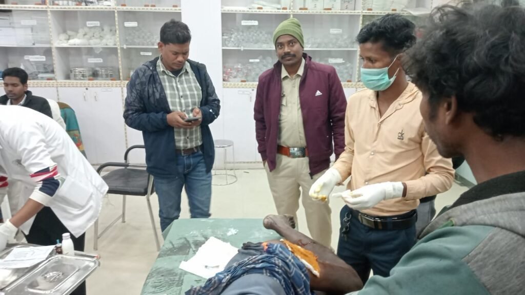 भालू के हमले से एक व्यक्ति गंभीर रूप से घायल भालू के हमले से एक व्यक्ति गंभीर रूप से घायल