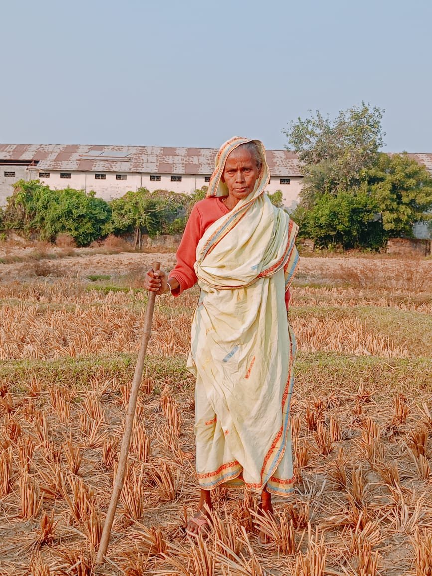 कलयुगी बेटों की करतूत,75 वर्षीय वृद्ध माँ को गला दबाकर जान से मारने का प्रयास कलयुगी बेटों की करतूत,75 वर्षीय वृद्ध माँ को गला दबाकर जान से मारने का प्रयास