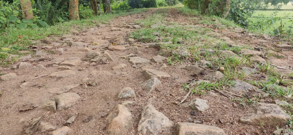 जर्जर सड़क दे रहा दुर्घटना को निमंत्रण। जर्जर सड़क दे रहा दुर्घटना को निमंत्रण।