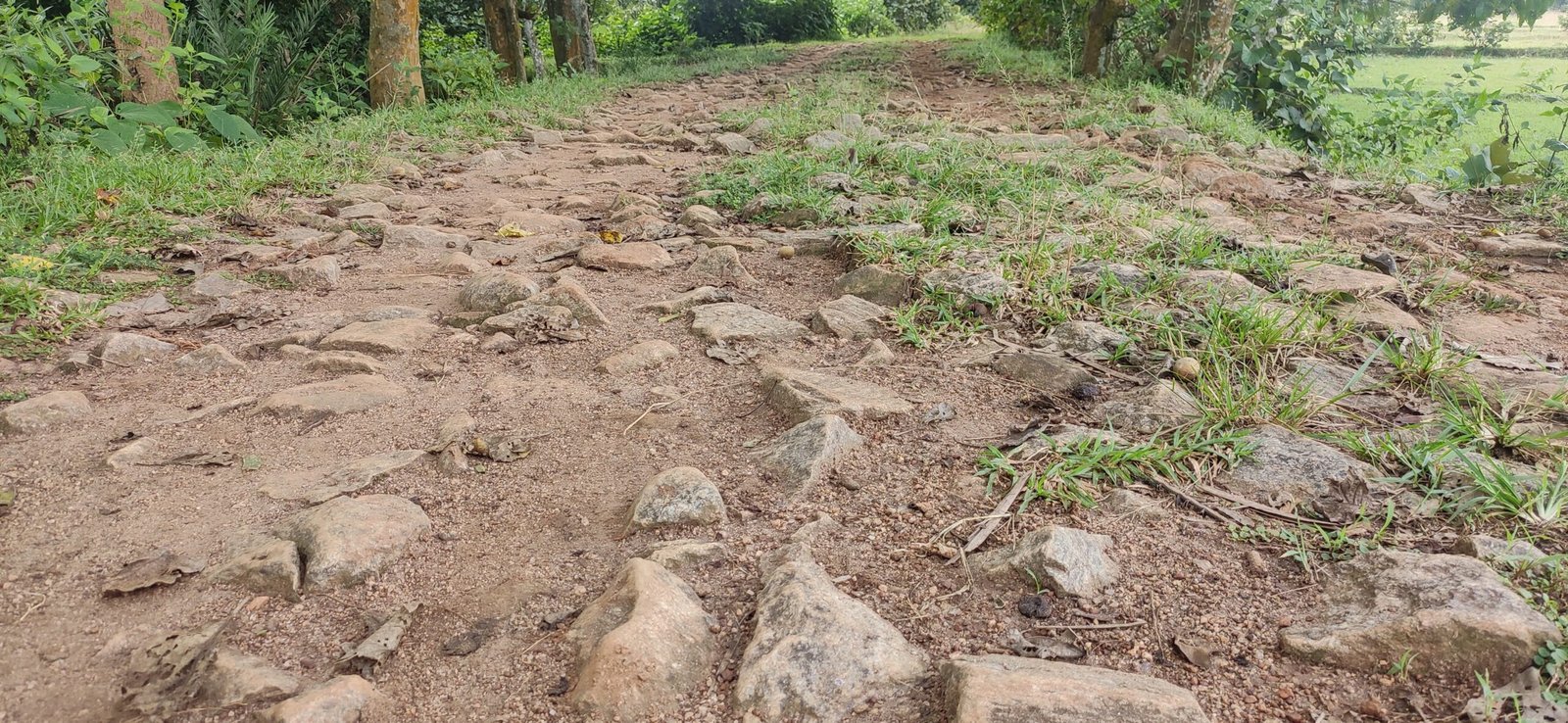 जर्जर सड़क दे रहा दुर्घटना को निमंत्रण। जर्जर सड़क दे रहा दुर्घटना को निमंत्रण।