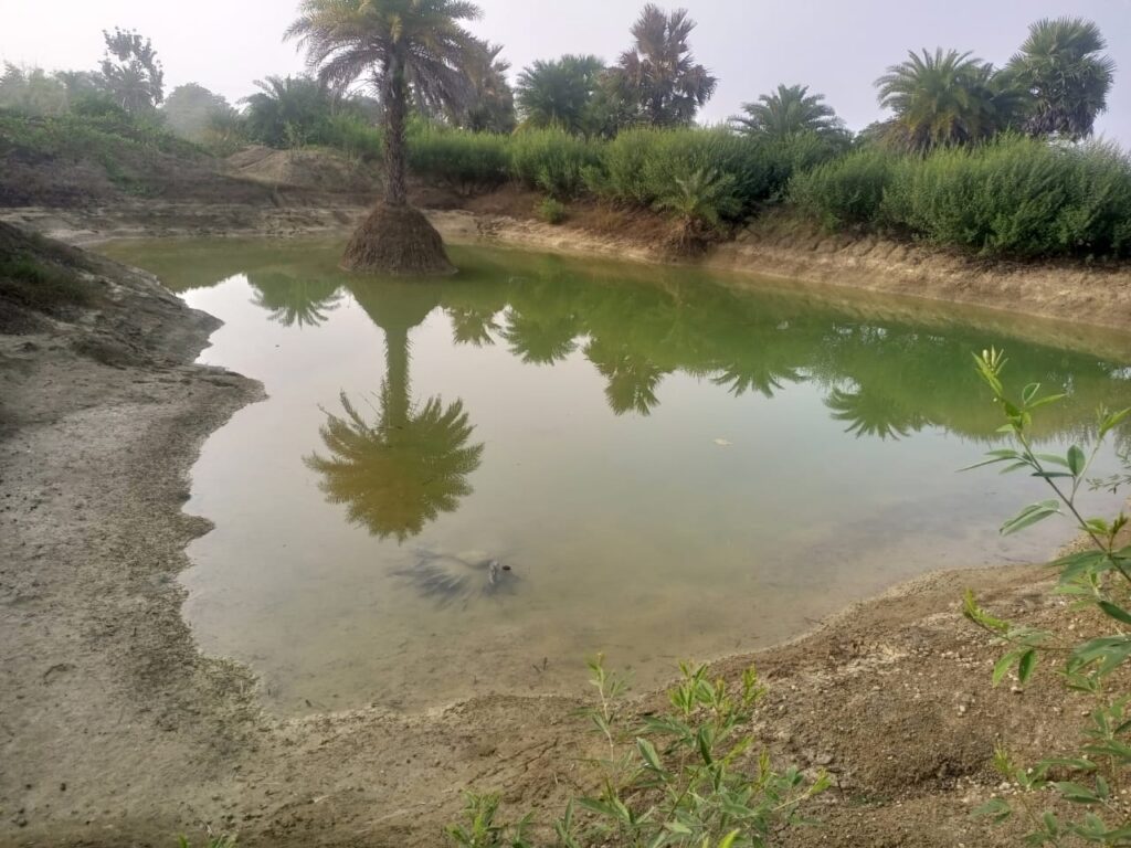 डोभा निर्माण में भ्रष्टाचार चरम पर, मुखिया व बिचौलियों की मिलीभगत डोभा निर्माण में भ्रष्टाचार चरम पर, मुखिया व बिचौलियों की मिलीभगत