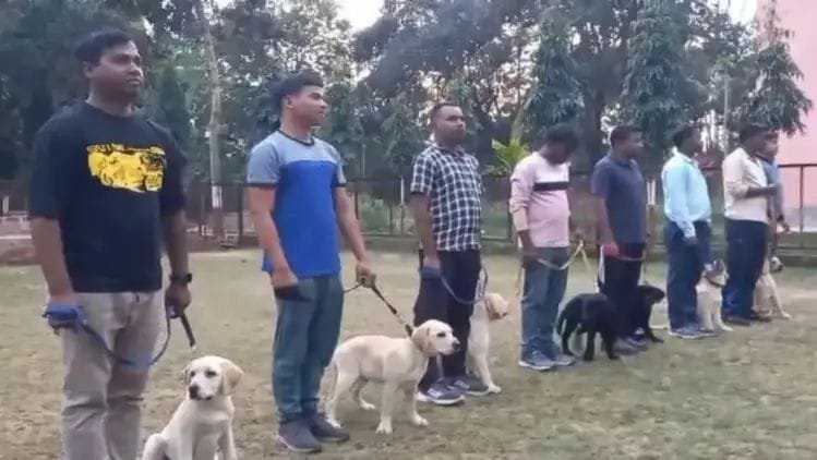 झारखंड पुलिस का डॉग स्क्वॉयड मजबूत,एक साथ आठ स्वान बहाल झारखंड पुलिस का डॉग स्क्वॉयड मजबूत,एक साथ आठ स्वान बहाल