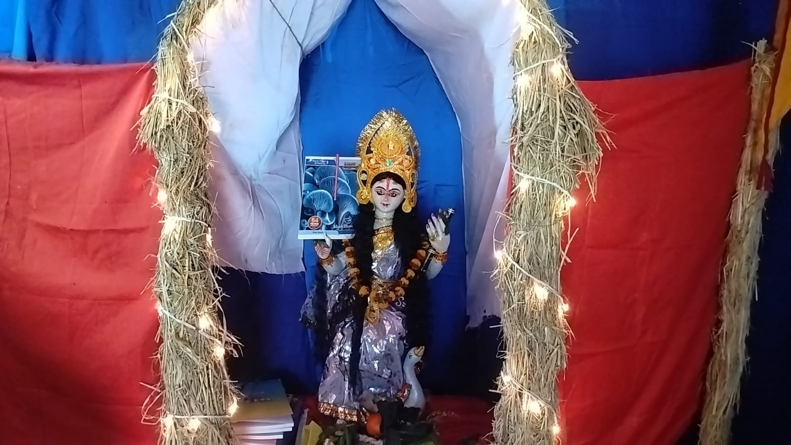 धूमधाम से मनाया गया सरस्वती पूजा, श्रद्धालुओ की लगी भीड़