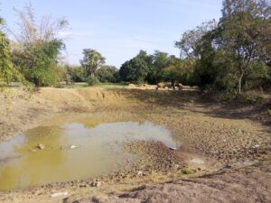 डोभा निर्माण मे घोर अनियमितता, अधिकारी मौन