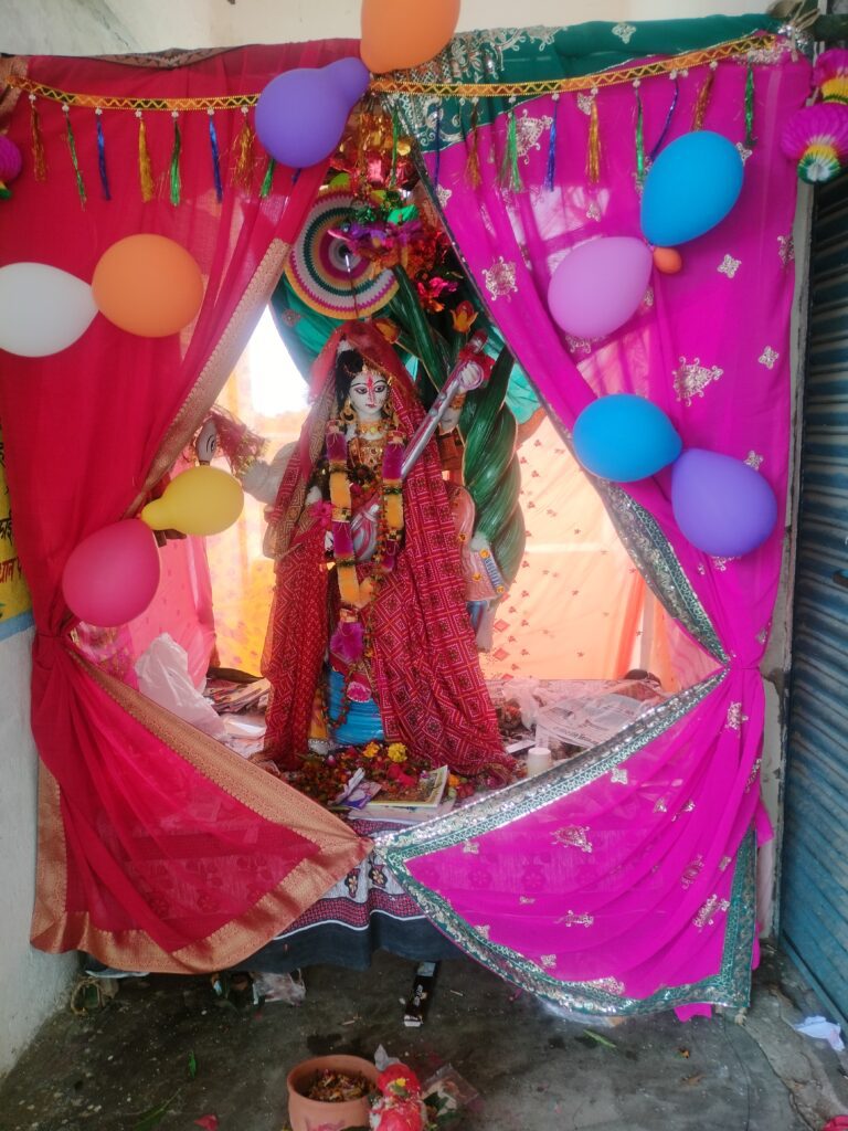 भक्ति भाव से जलाशय में विसर्जित की गई मां शारदे की प्रतिमा भक्ति भाव से जलाशय में विसर्जित की गई मां शारदे की प्रतिमा