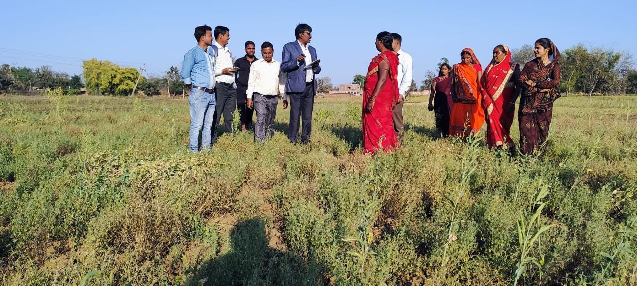 सहायक निदेशक ने फसलों का किया भौतिक निरीक्षण सहायक निदेशक ने फसलों का किया भौतिक निरीक्षण