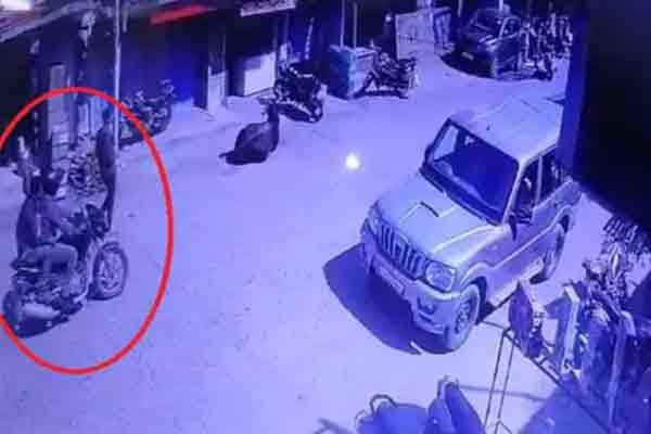 Palamu:दिनदहाड़े घनी आबादी के बीच अपराधियों ने एक व्यक्ति से डेढ़ लाख रुपए लूट कर फरार:जांच में जुटी पुलिस, Palamu:दिनदहाड़े घनी आबादी के बीच अपराधियों ने एक व्यक्ति से डेढ़ लाख रुपए लूट कर फरार:जांच में जुटी पुलिस,