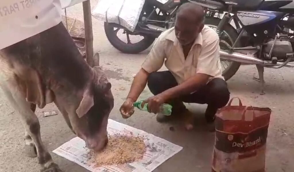 बेजुबान जानवर को मिला सहारा,प्रशासन से सहयोग की अपील। बेजुबान जानवर को मिला सहारा,प्रशासन से सहयोग की अपील।
