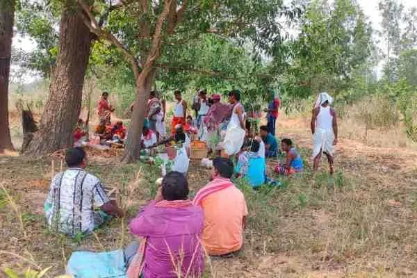 बहरागोड़ा :पौधरोपण कर ग्रामीणों ने मनाई आसाढ़ी पूजा बहरागोड़ा :पौधरोपण कर ग्रामीणों ने मनाई आसाढ़ी पूजा
