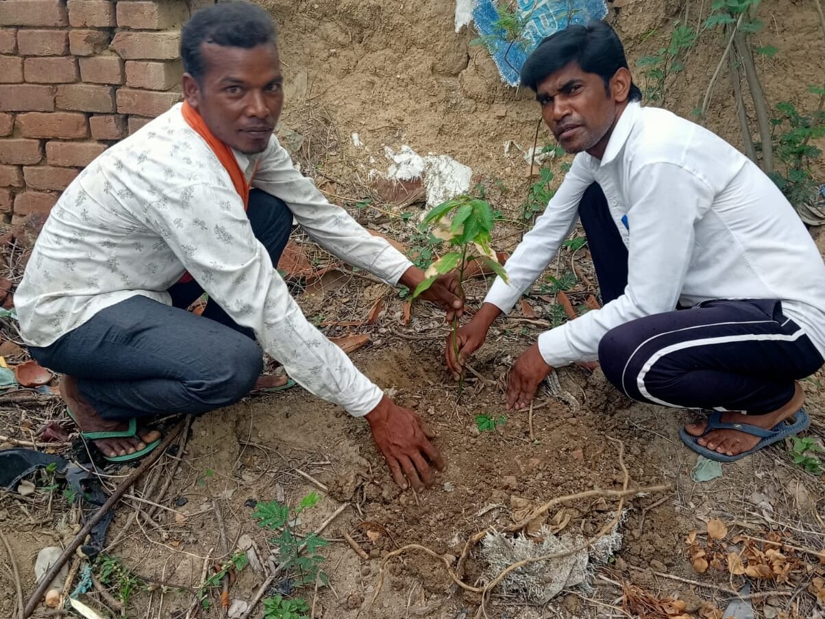 पर्यावरण दिवस पर भारतीय किसान संघ ने किया वृक्षारोपण, वृक्ष बचाने का लिया संकल्प पर्यावरण दिवस पर भारतीय किसान संघ ने किया वृक्षारोपण, वृक्ष बचाने का लिया संकल्प