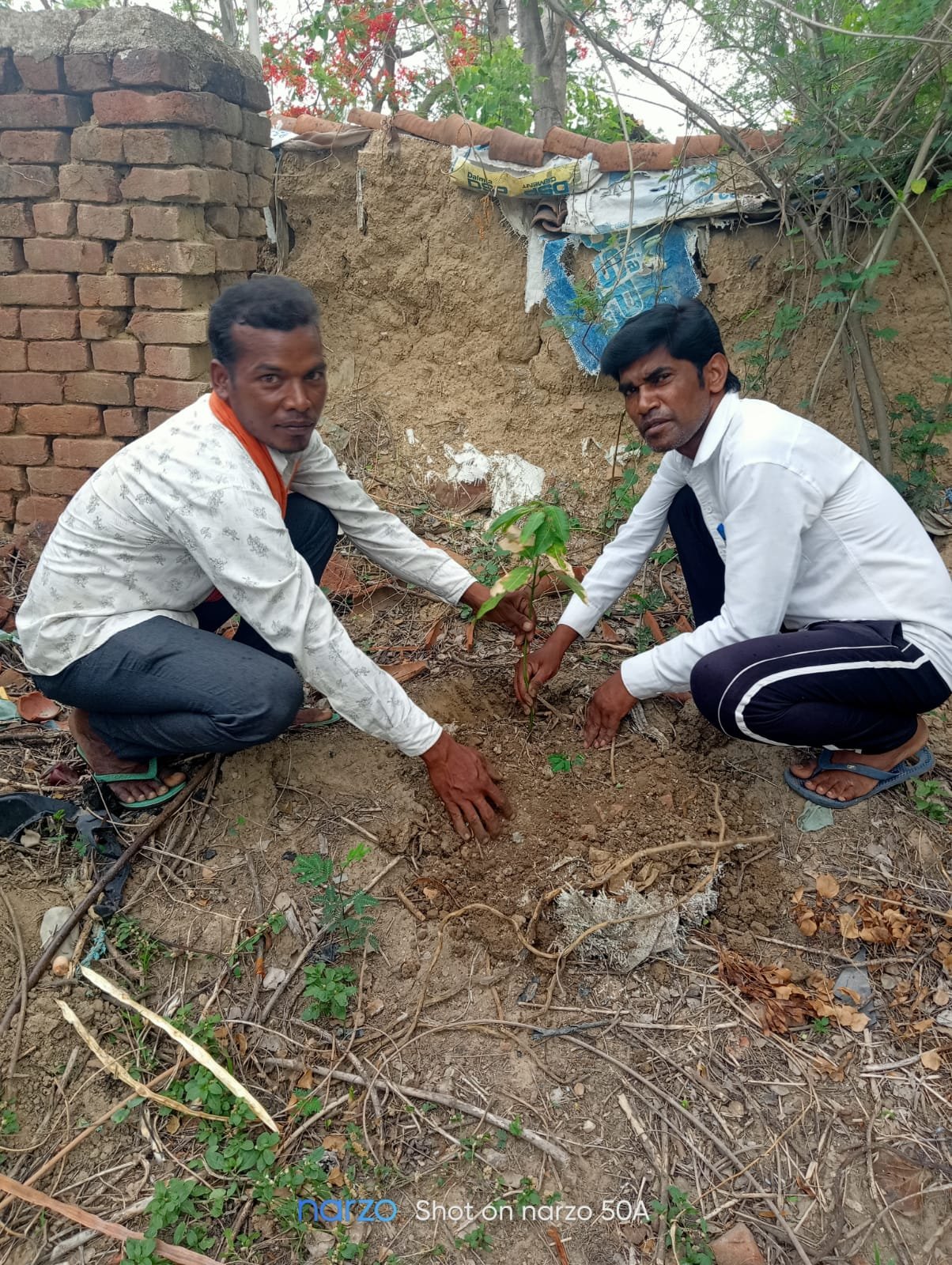 पर्यावरण दिवस पर भारतीय किसान संघ ने किया वृक्षारोपण, वृक्ष बचाने का लिया संकल्प पर्यावरण दिवस पर भारतीय किसान संघ ने किया वृक्षारोपण, वृक्ष बचाने का लिया संकल्प