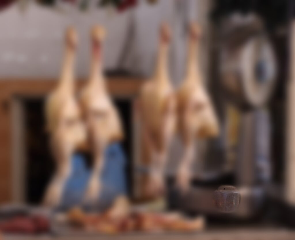 राँची: खुले में मांस बेचने वाले 100 से अधिक दुकानदारों पर मामला दर्ज राँची: खुले में मांस बेचने वाले 100 से अधिक दुकानदारों पर मामला दर्ज