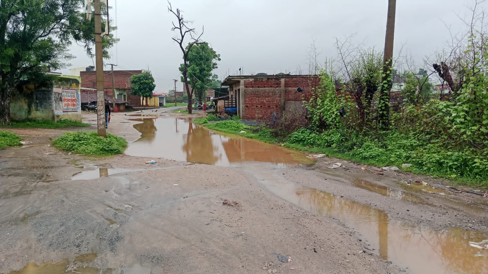 बंदुआ रोड के गड्ढों में बारिश के पानी का जमाव होने से लगातार दुर्घटना के शिकार हो रहे हैं लोग बंदुआ रोड के गड्ढों में बारिश के पानी का जमाव होने से लगातार दुर्घटना के शिकार हो रहे हैं लोग