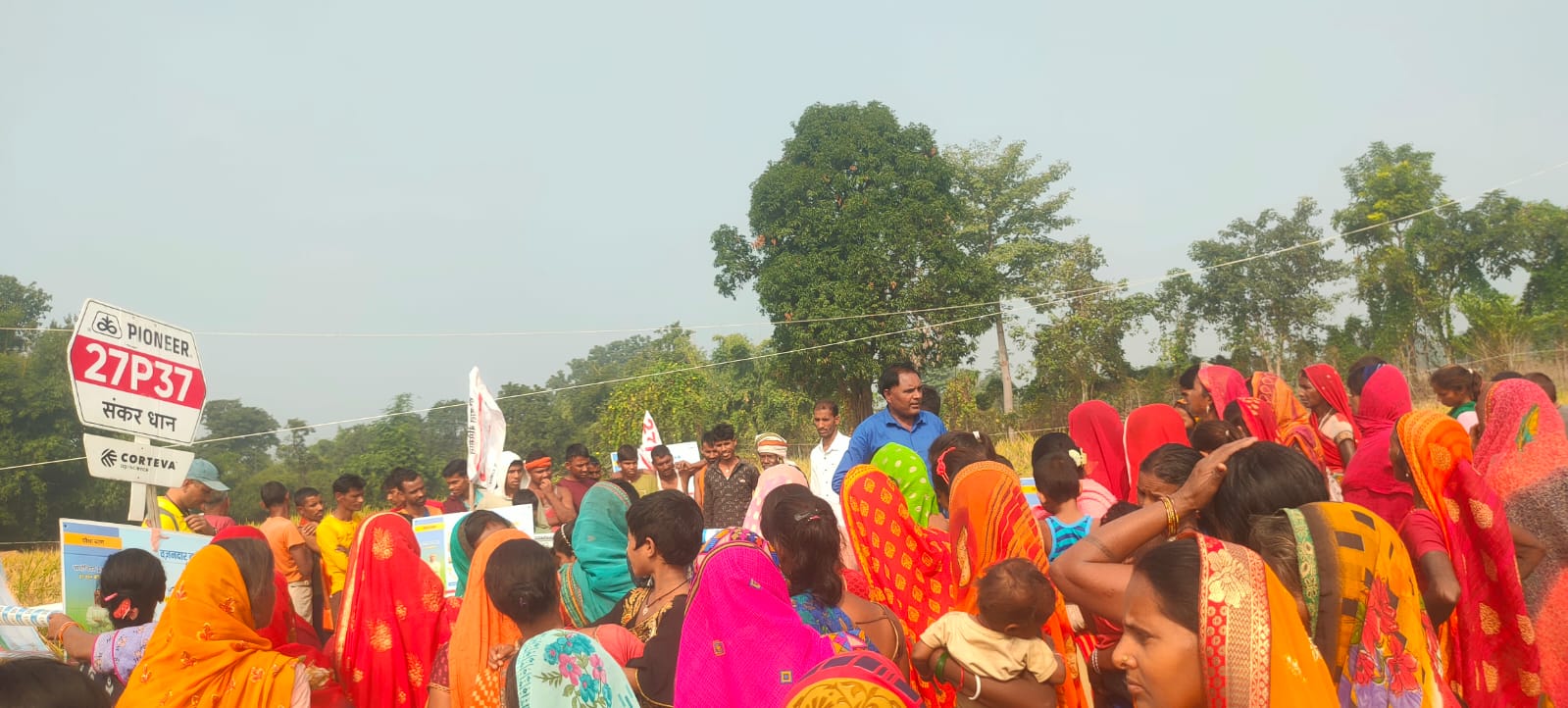धान ऊपज का हुआ मुकाबला पायोनियर 27P37 हुआ विजेता