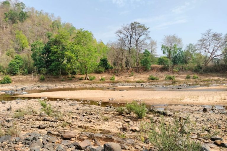 बालू की ढुलाई कर रहें दो लोगों को अज्ञात उग्रवादियों ने धारदार हथियार से काट कर की हत्या:बालू माफियाओं में हड़कंप