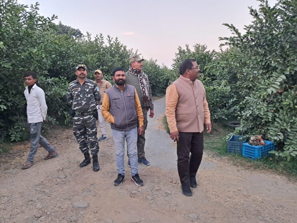 उद्यानिकी फसलों में आत्मनिर्भर हो सकते हैं पलामू के किसान : आयुक्त