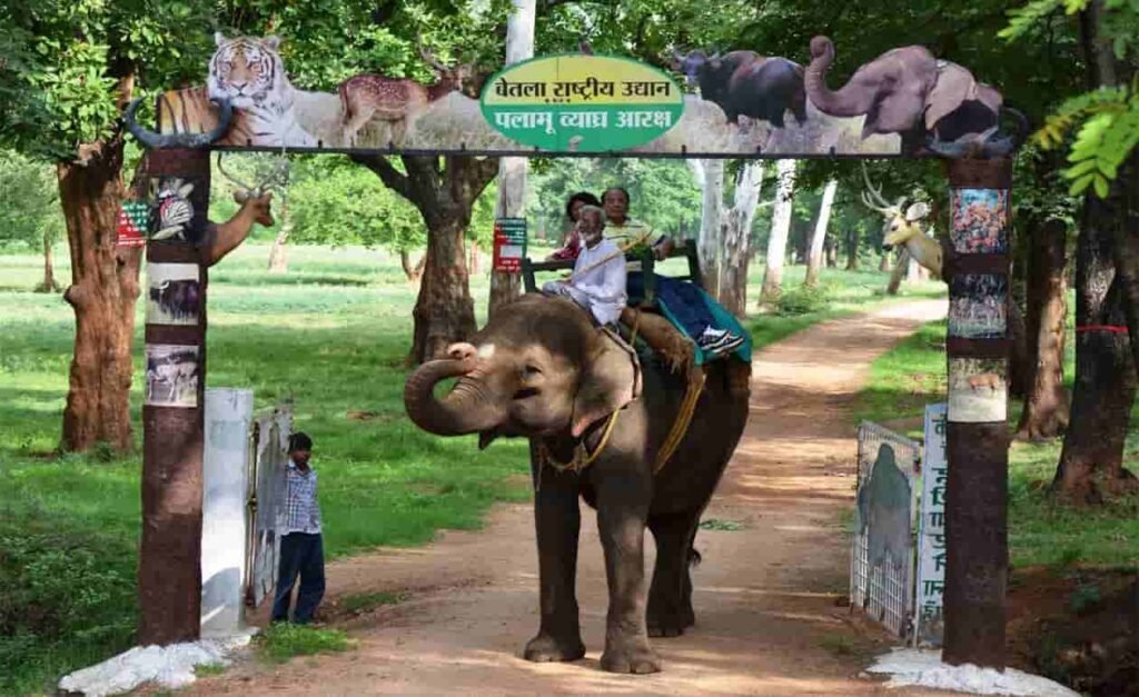 जंगली जानवरों का करना है दीदार तो नए साल पर आए बेतला पार्क जंगली जानवरों का करना है दीदार तो नए साल पर आए बेतला पार्क