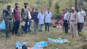 पलामू टाइगर रिजर्व में मिला वयस्क हाथी का शव, जांच में जुटा वन विभाग