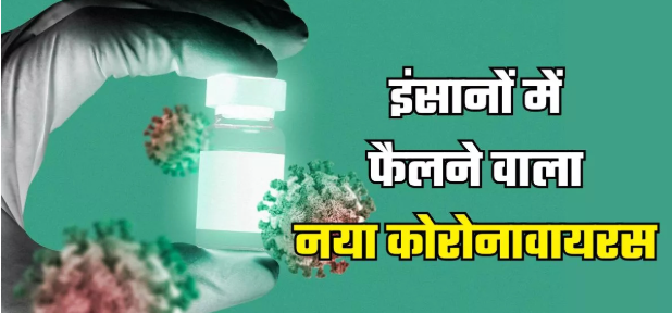 चीन में मिले नए कोरोनावायरस ने बढ़ाई वैज्ञानिकों की चिंता: क्या बनेगा Covid-19 की तरह महामारी की वजह? चीन में मिले नए कोरोनावायरस ने बढ़ाई वैज्ञानिकों की चिंता: क्या बनेगा Covid-19 की तरह महामारी की वजह?