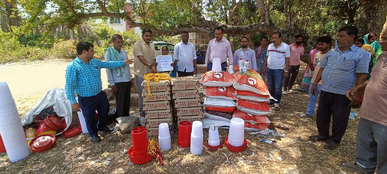 पशुपालन सहकारिता विभाग से दर्जनों लाभुक के बीच किया गया मुर्गी तथा बत्तख का चुजा का वितरण