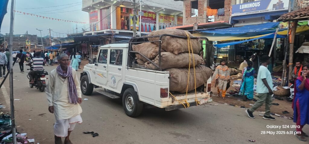 पलामू टाइगर रिजर्व के गारू में अवैध तेंदूपत्ता तोड़ने वालों पर वन विभाग की कार्रवाई,तेंदूपत्ता किया गया जप्त