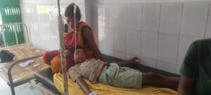 बरहरवा:सांप काटने से 10 वर्षीय बच्चा मूर्छित, अस्पताल में भर्ती