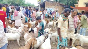 बकरीद को लेकर बढ़ी बकरा बाजार की रौनक