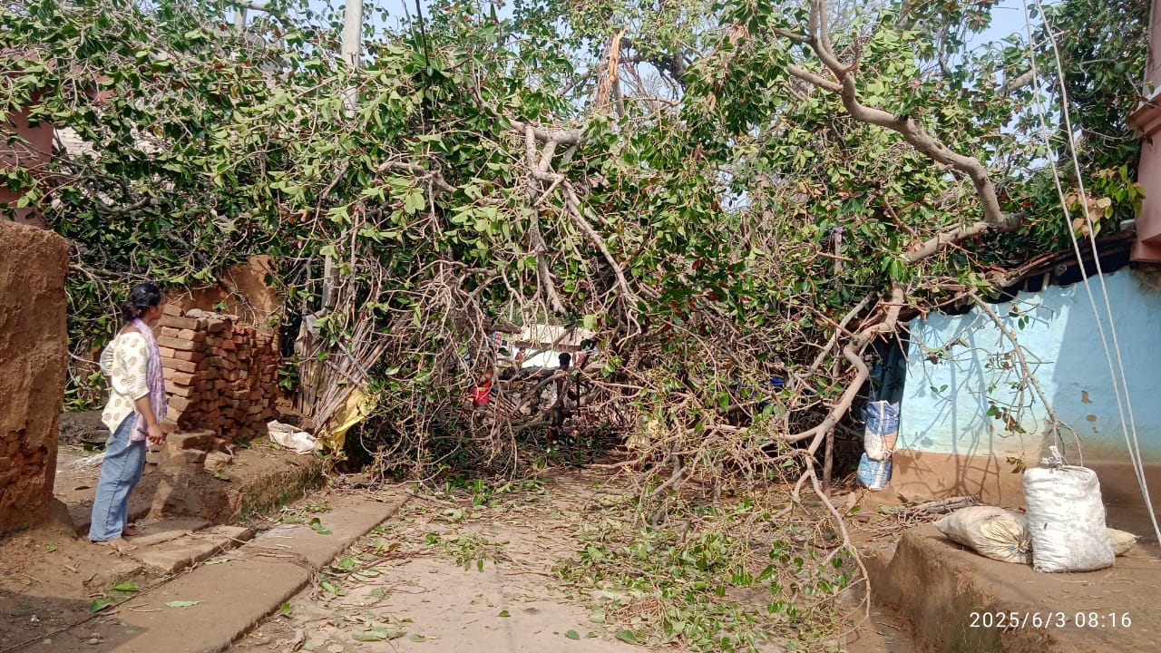 बरहरवा:तेज आंधी से बड़ा हादसा, कई घर क्षतिग्रस्त,लोग बाल-बाल बचे