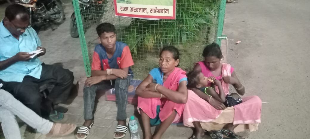 बरहेट में सड़क हादसा:पानी की गाड़ी ने टोटो को मारी टक्कर,महिला की मौत