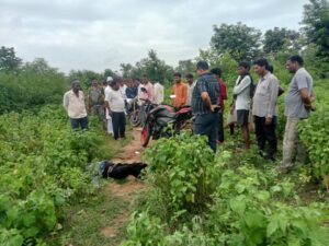 नावा बाजार:ससुराल आए युवक को पत्थर से कुच कर हुई हत्या