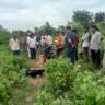 नावा बाजार:ससुराल आए युवक को पत्थर से कुच कर हुई हत्या