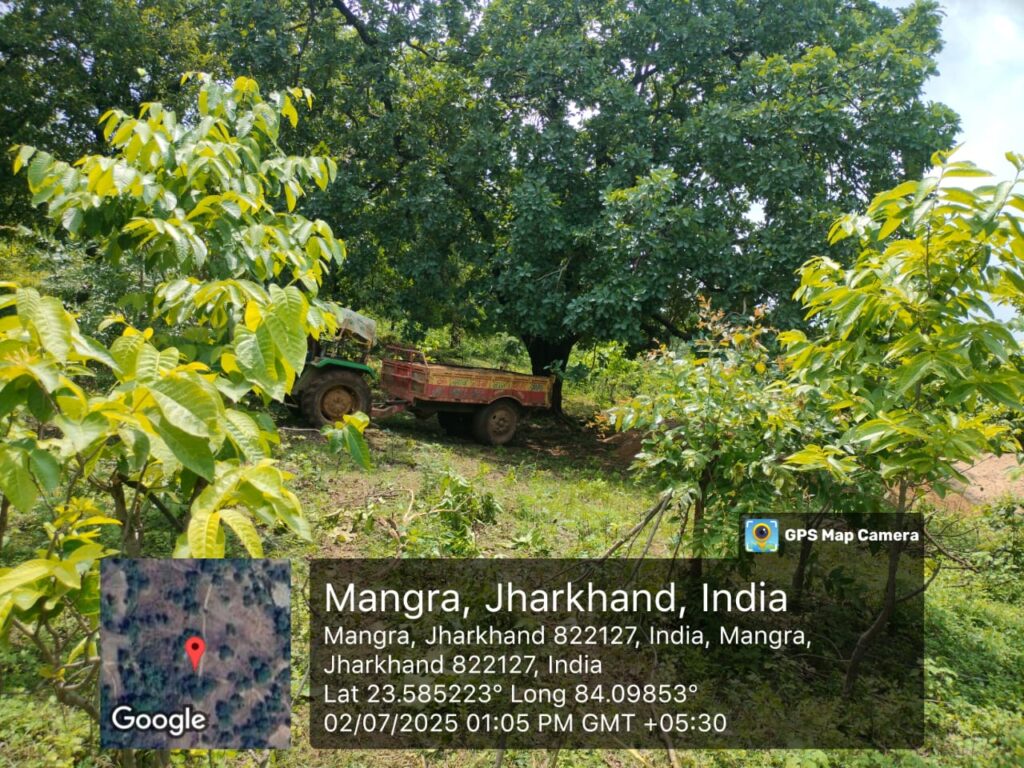 पलामू टाइगर रिजर्व में अवैध बालू खनन का भंडाफोड़: पत्रकारों से मारपीट, मोबाइल लूटा—टेकगार्ड पर FIR, वन विभाग पर मिलीभगत का आरोप