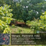 पलामू टाइगर रिजर्व में अवैध बालू खनन का भंडाफोड़: पत्रकारों से मारपीट, मोबाइल लूटा—टेकगार्ड पर FIR, वन विभाग पर मिलीभगत का आरोप