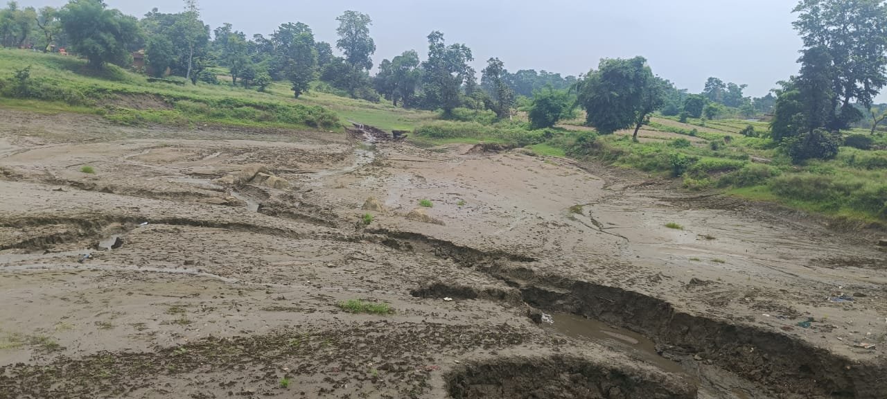 घुटुवा पंचायत के एकता गांव में चिलबिल आहर टूटा, किसानों को सिंचाई संकट का खतरा घुटुवा पंचायत के एकता गांव में चिलबिल आहर टूटा, किसानों को सिंचाई संकट का खतरा