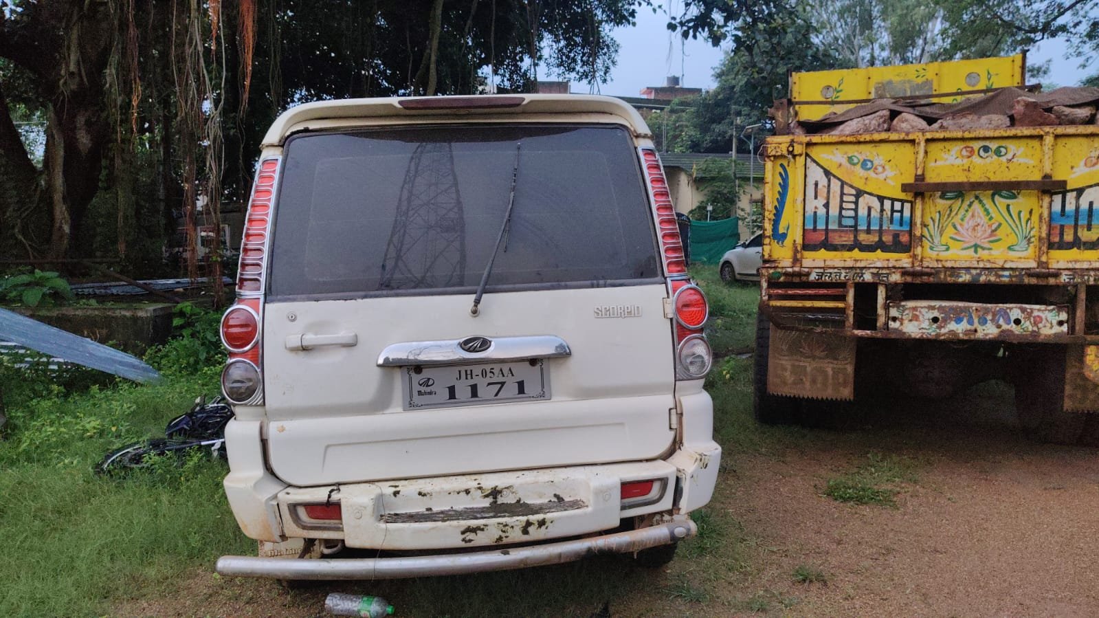 घाघरा पुलिस ने स्कॉर्पियो से किए छह मवेशी जब्त, चालक मौके से फरार
