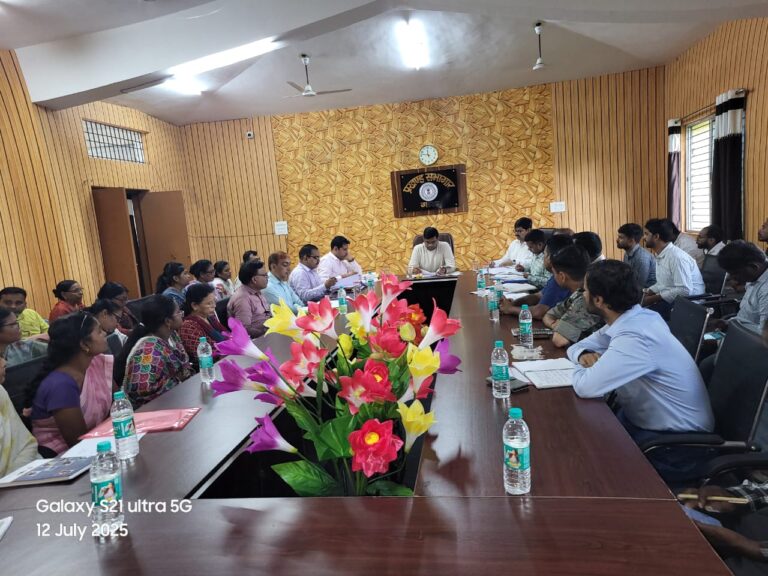 उप विकास आयुक्त ने गारू प्रखंड में योजनाओं का किया निरीक्षण, दिए कई अहम निर्देश