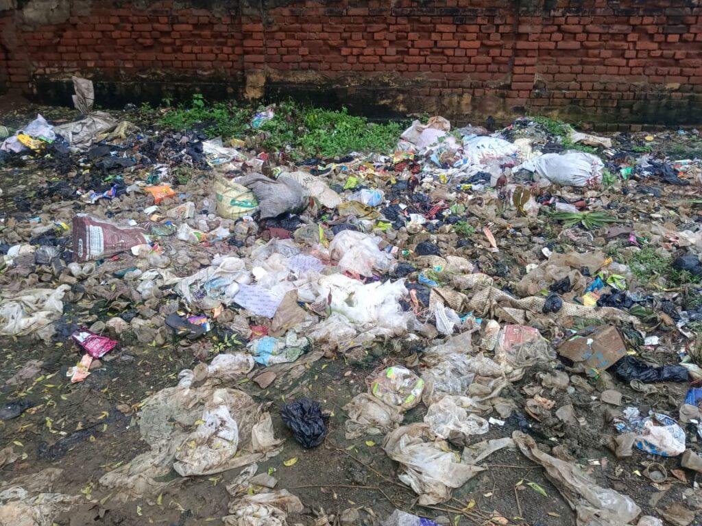 बोरियो में स्वच्छ भारत अभियान फेल,चारों ओर पसरी गंदगी