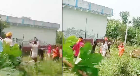 एक पेड़ मां के नाम: विद्यालय में अंकुरित हुई हरियाली की उम्मीद एक पेड़ मां के नाम: विद्यालय में अंकुरित हुई हरियाली की उम्मीद