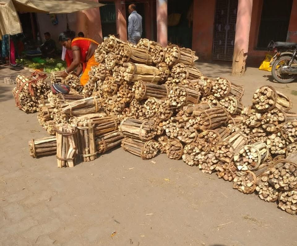 सिल्ली में गजराज हुए नाराज़, गांव में उत्पात मचाया सिल्ली में गजराज हुए नाराज़, गांव में उत्पात मचाया