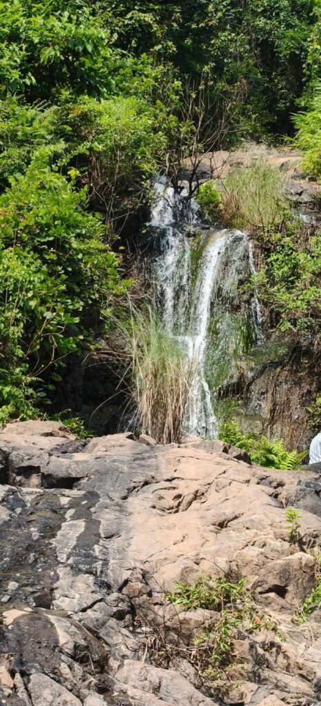 सेवाती घाटी:कसमार का खूबसूरत रमणीक स्थल सेवाती घाटी:कसमार का खूबसूरत रमणीक स्थल