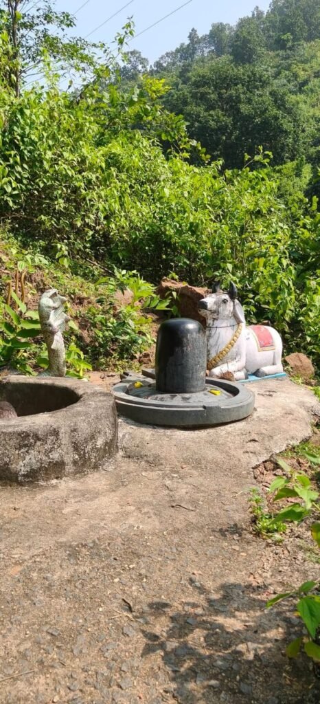 सेवाती घाटी:कसमार का खूबसूरत रमणीक स्थल सेवाती घाटी:कसमार का खूबसूरत रमणीक स्थल