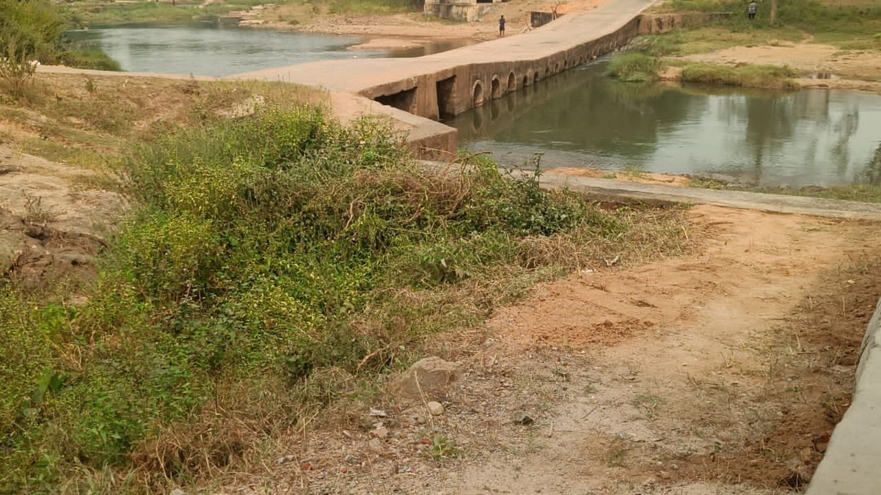 लहलहे शिव मंदिर स्थित छठ घाट की साफ-सफाई को लेकर जनप्रतिनिधियों की उदासीनता,व्रतियों में नाराज़गी