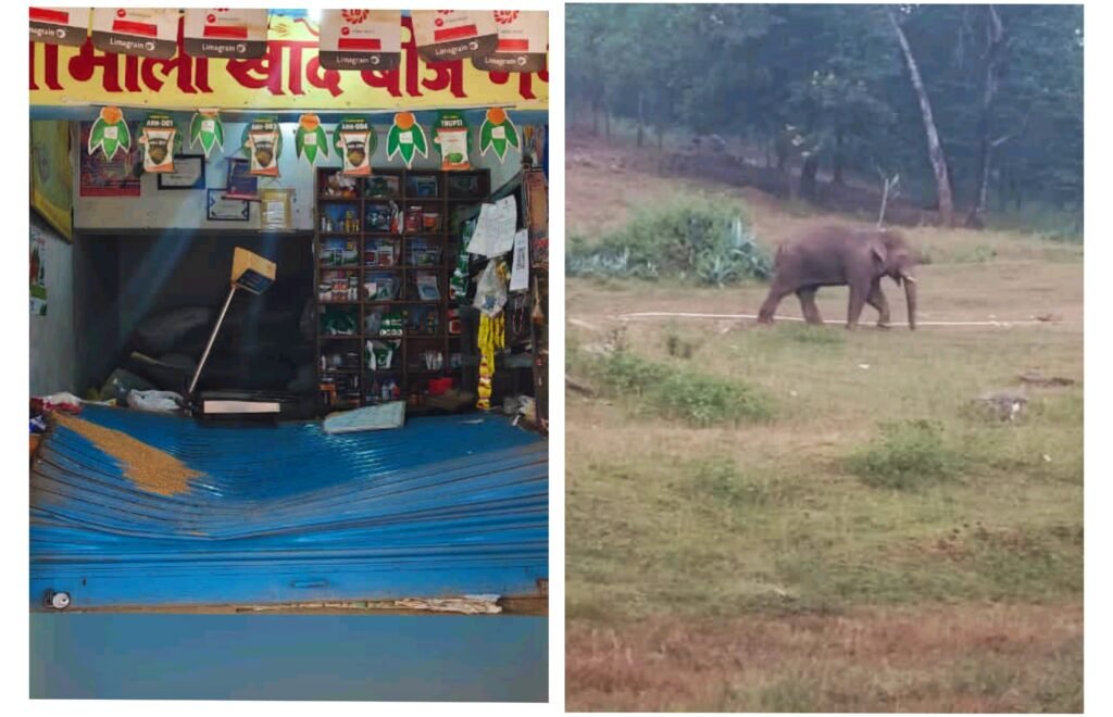 आदर गांव में जंगली हाथी का उत्पात,दो दुकानों को किया क्षतिग्रस्त