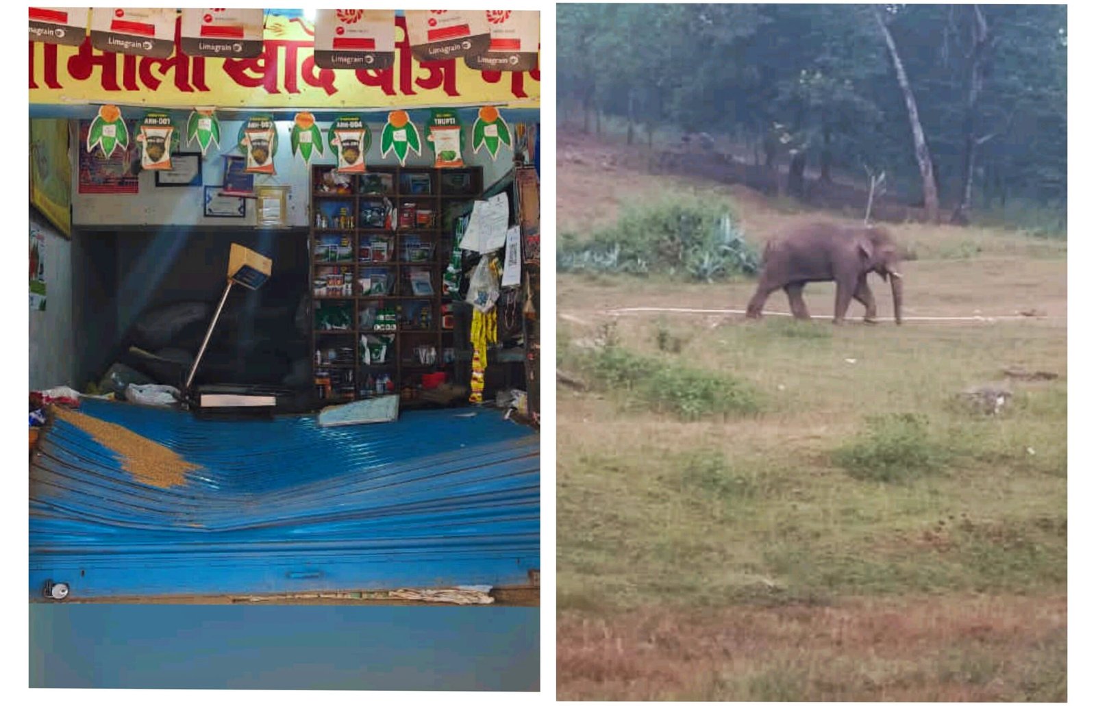 आदर गांव में जंगली हाथी का उत्पात,दो दुकानों को किया क्षतिग्रस्त आदर गांव में जंगली हाथी का उत्पात,दो दुकानों को किया क्षतिग्रस्त