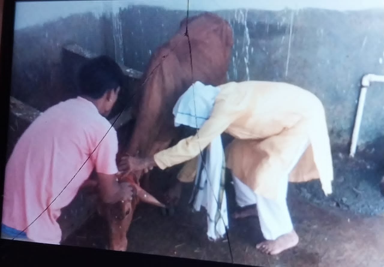 गौशाला मेला में शाम होते ही उमड़ी भीड़ गौशाला मेला में शाम होते ही उमड़ी भीड़