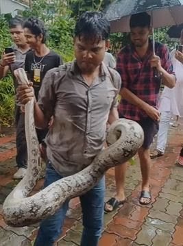 रांची में हड़कंप:घर के आंगन में निकला 12 फीट लंबा अजगर रांची में हड़कंप:घर के आंगन में निकला 12 फीट लंबा अजगर